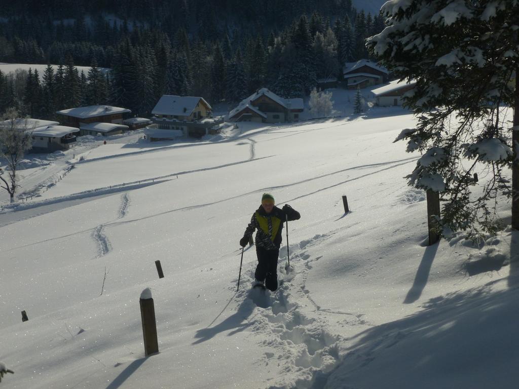 Ferienwohnung Bergblick Filzmoos Ruang foto