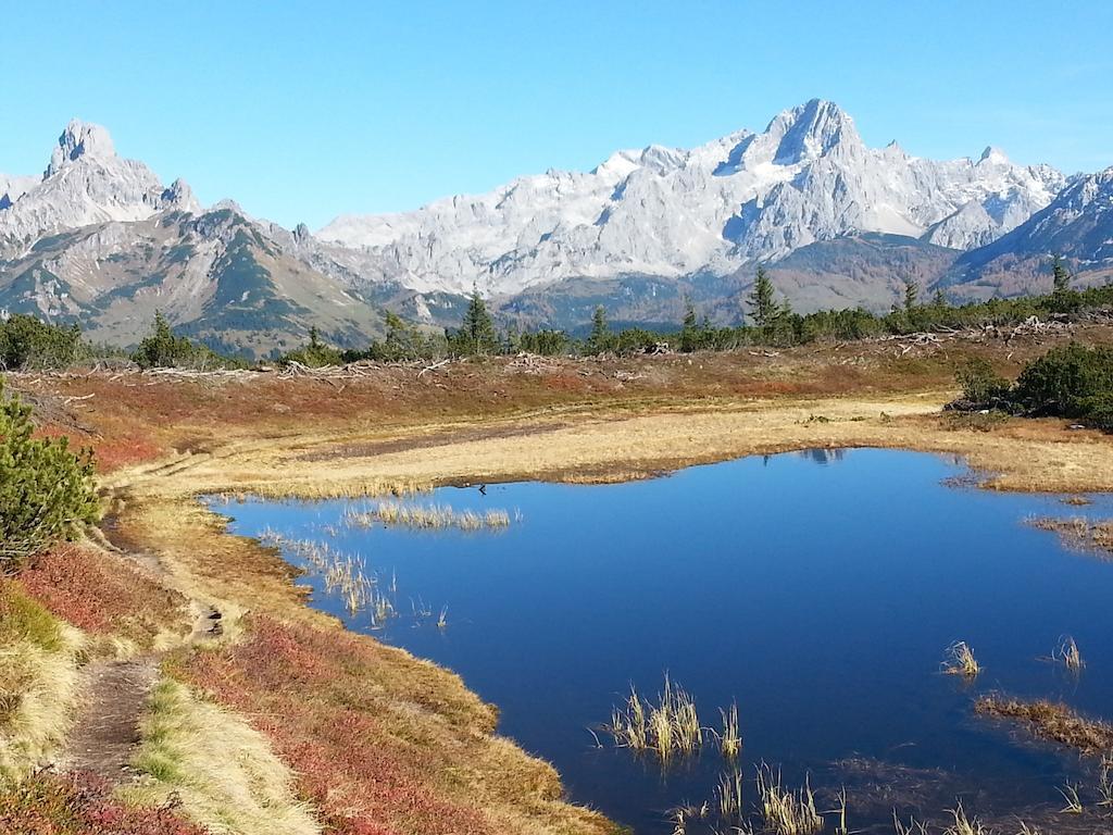 Ferienwohnung Bergblick Filzmoos Ruang foto