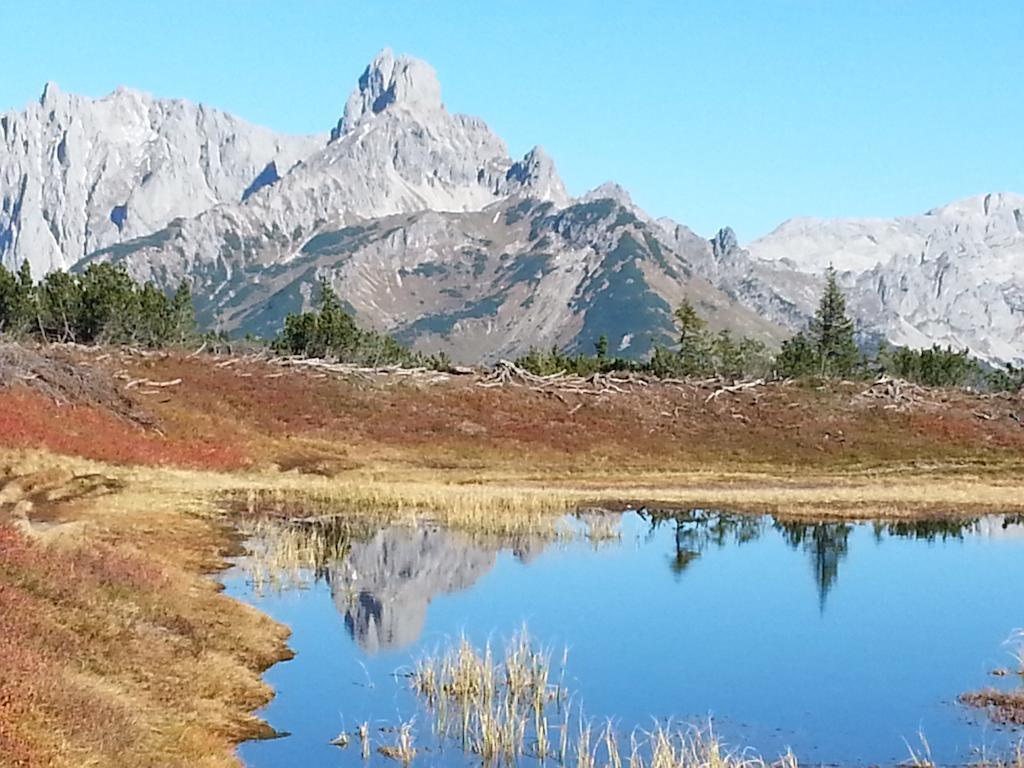 Ferienwohnung Bergblick Filzmoos Ruang foto