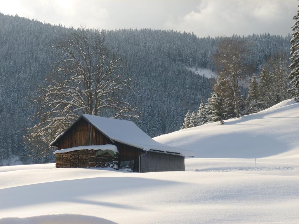 Ferienwohnung Bergblick Filzmoos Ruang foto