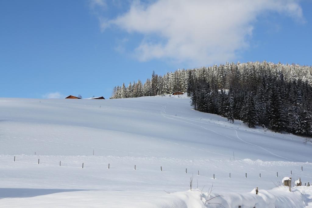 Ferienwohnung Bergblick Filzmoos Ruang foto