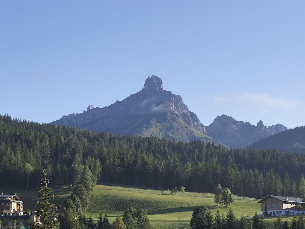 Ferienwohnung Bergblick Filzmoos Ruang foto